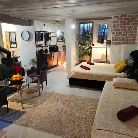 Private Sauna Retreat With Fireplace & Garden Terrace Διαμέρισμα Ταλίν