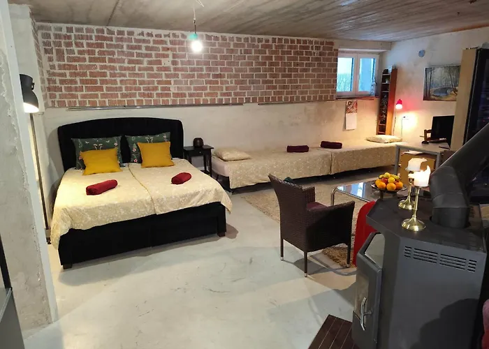 Private Sauna Retreat With Fireplace & Garden Terrace